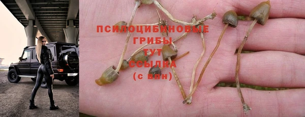 марки lsd Алзамай