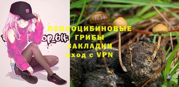 синтетический гашиш Алексеевка