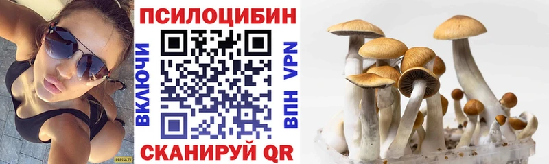 Галлюциногенные грибы MAGIC MUSHROOMS Алексеевка